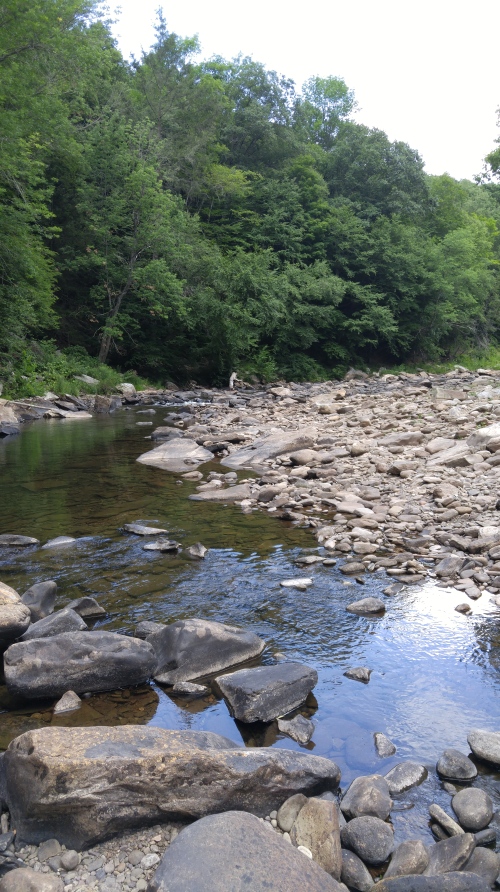 loyalsock-trail-creek